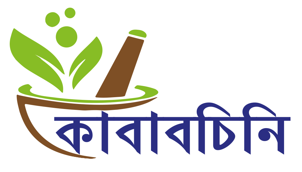 Kabab chini