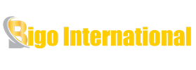Bigo International